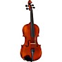 Open-Box Bellafina Musicale Series Viola Outfit Condition 2 - Blemished 13-in. 197881378592