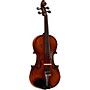 eMedia My Violin Premium Starter Pack 4/4 Size
