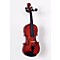 My Violin Starter Pack Level 2 1/2 Size 888365740294