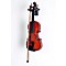My Violin Starter Pack Level 2 1/2 Size 888366033180