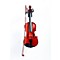 My Violin Starter Pack Level 2 1/4 Size 888365279442