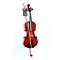 My Violin Starter Pack Level 2 1/4 Size 888365359465