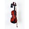 My Violin Starter Pack Level 2 1/4 Size 888365599755