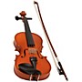 Open-Box eMedia My Violin Starter Pack Condition 2 - Blemished 1/8 Size 194744410628