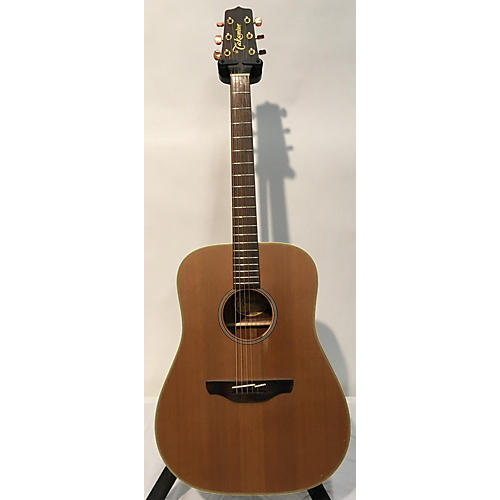 N10 Acoustic Guitar