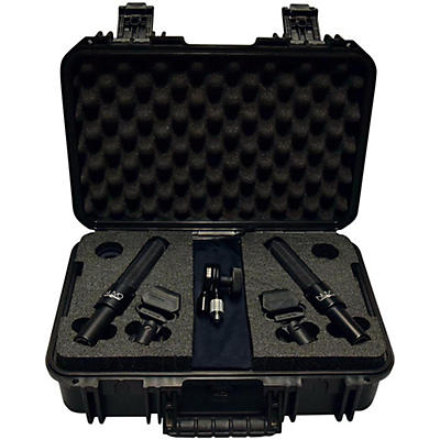 AEA N8 Stereo Mic Kit