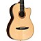 NCX2000 Acoustic-Electric Classical Guitar Level 2 Natural 190839029607