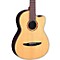 NCX900 Acoustic-Electric Classical Guitar Level 1 Natural