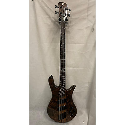 Spector NS Dimension 4 Electric Bass Guitar