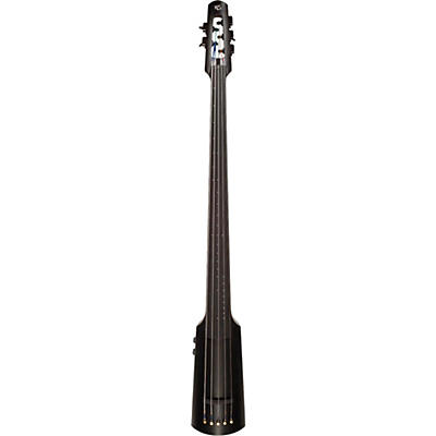 NS Design NXTa Active Series 5-String Omni Bass B-G
