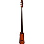 NS Design NXTa Active Series 5-String Omni Bass B-G Sunburst