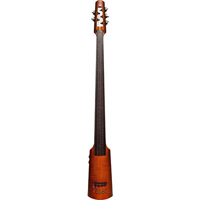 NS Design NXTa Active Series 5-String Omni Bass E-C