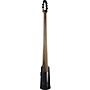 Open-Box NS Design NXTa Active Series 5-String Upright Electric Double Bass Condition 2 - Blemished Black 197881300968