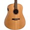Natural Cherry SG Acoustic-Electric Guitar Level 1 Natural