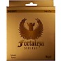 FORTALEZA GUITARS Nickel Loop End Bajo Quinto Strings