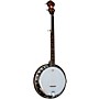 Ortega OBJ300-WB 5-String Resonator Banjo Whiskey Burst