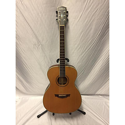 Parkwood OM Acoustic Guitar