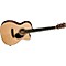 OMC16GTE Acoustic-Electric Guitar Level 1
