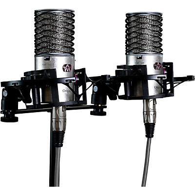 Aston Microphones ORIGIN STEREO PAIR - 2 Origin high-performance cardioid condenser microphone