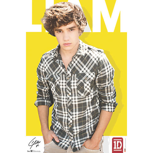 One Direction - Liam Payne Poster