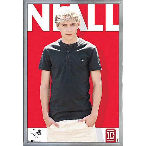 Trends International One Direction - Niall Horan Poster Framed Silver