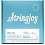 Stringjoy Orbiters Coated Nickel Wound Electric Guitar Strings 9 - 42