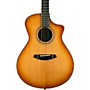 Breedlove Organic Collection Artista Granadillo Concert Cutaway CE Acoustic-Electric Guitar Copper Burst