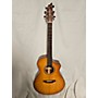 Used Breedlove Organic Collection Signature Concert Cutaway CE Acoustic Electric Guitar Copper Burst