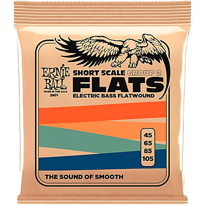 Ernie Ball P02801 Short Scale Flatwound Group 2 Electric Bass Strings
