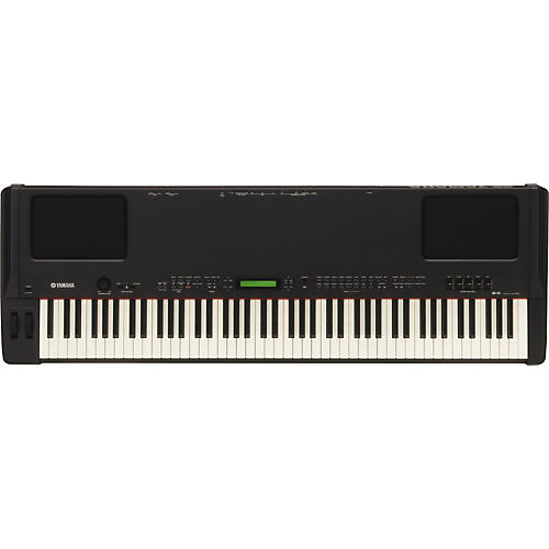 P250 Professional Stage Piano
