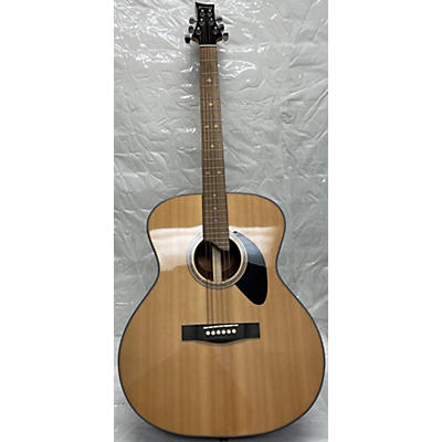 Riversong Guitars P551a Acoustic Guitar