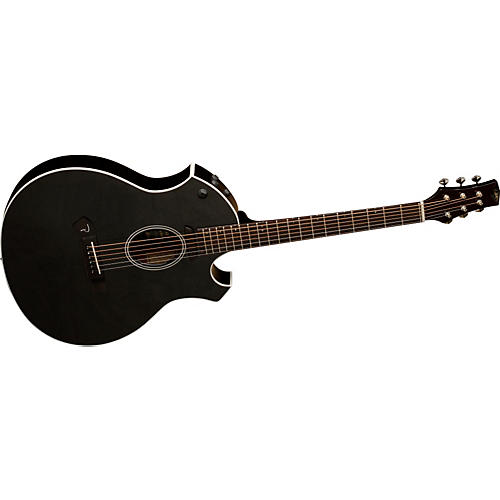 P6E Acoustic-Electric Guitar