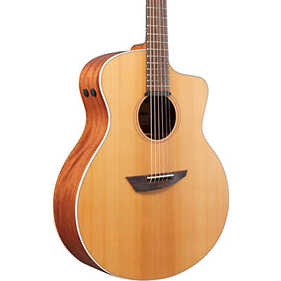 Ibanez PA Series Fingerstyle Acoustic Electric Guitar