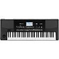 KORG PA300 61-Key Arranger Condition 1 - MintCondition 1 - Mint