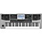 PA900 61-Key Pro Arranger Keyboard Level 2  190839045492