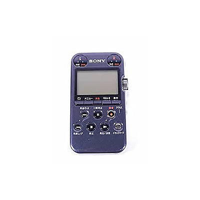 Sony PCM-D10 MultiTrack Recorder
