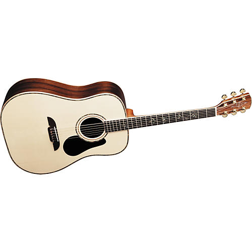 PD100S Professional Series Acoustic Guitar
