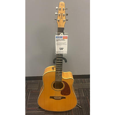 Seagull PERFORMER CWHGQIT Acoustic Guitar