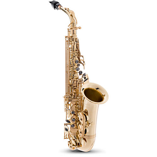 P. Mauriat PMSA-57GC Intermediate Alto Saxophone Beginner Package
