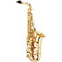 Open-Box P. Mauriat PMSA-57GC Intermediate Alto Saxophone Condition 2 - Blemished Classical Package 197881055110