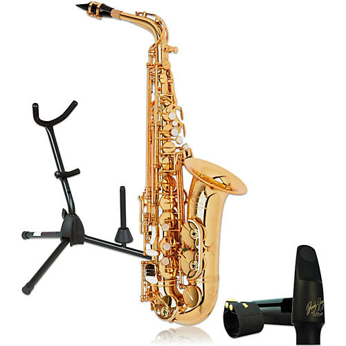 PMXA-67RGL Professional Gold Lacquered Alto Saxophone Kit