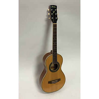 Ibanez PN1 Acoustic Guitar
