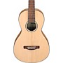 Ibanez PN2MD Parlor Acoustic Guitar - Open Pore Natural