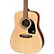 PR-150 Acoustic Guitar Level 2 Natural 888365376080