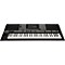 PSRA3000 61-Key Arranger Keyboard Level 2 Black 190839009340