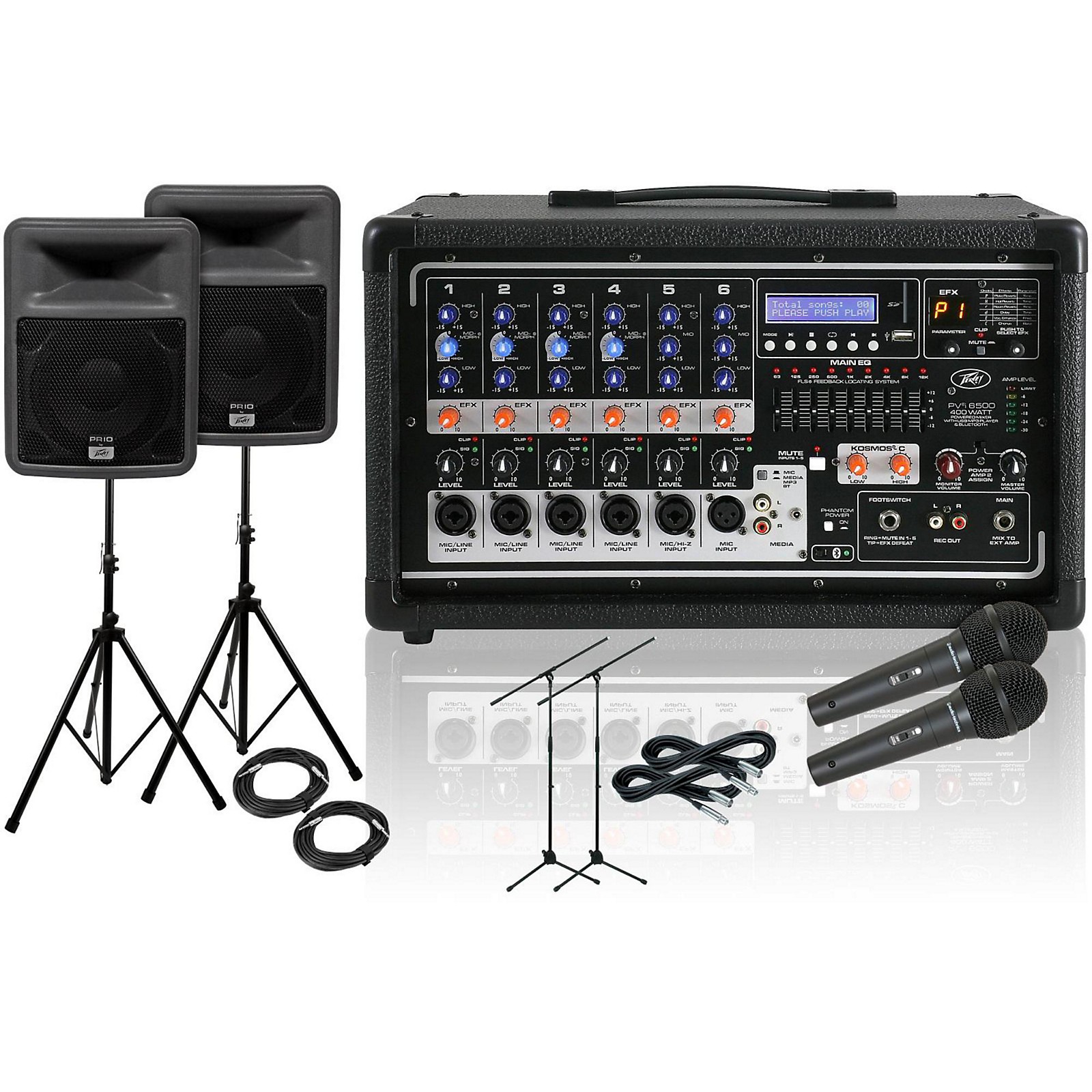 Peavey PVi 6500/PR 10 PA Package Musician