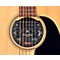 Panamag Acoustic Guitar Wireless System Pickup Level 2 Regular 888366038659