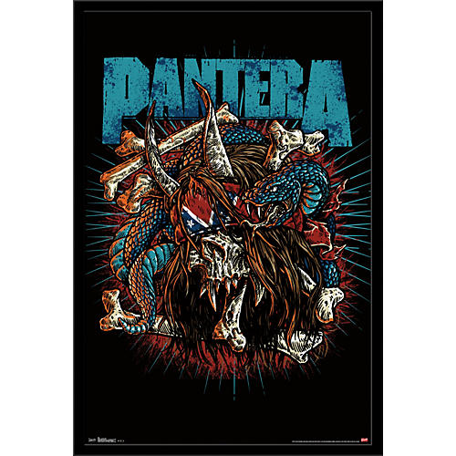 Pantera - Rocker Skull Poster