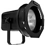 American DJ Par 38BL Can with Lamp
