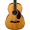 Paramount Series PM-2 Deluxe Parlor Acoustic-Electric Guitar Level 2 Natural 190839067128